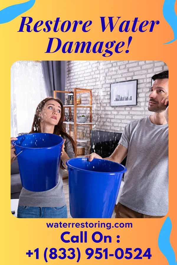 water restoration Patriot Water Damage Co Tower